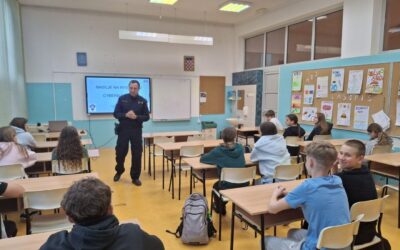 Međuvršnjačko nasilje