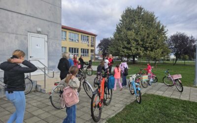 Dan bez automobila