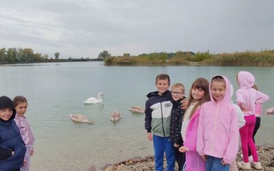 Obrada lektire „Ružno pače“, Hansa Christiana Andersena