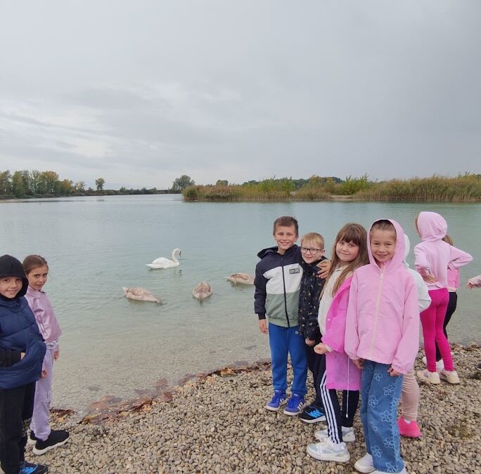 Obrada lektire „Ružno pače“, Hansa Christiana Andersena